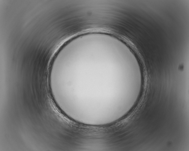 X0000115730836200912101450