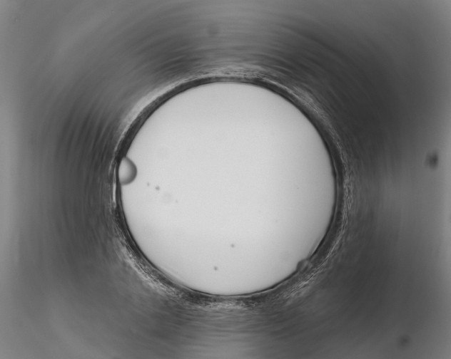 X0000115730838200912101450