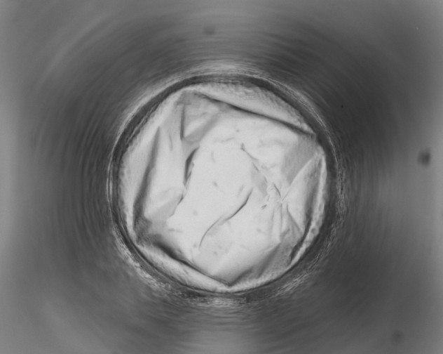 X0000115730839200912101450