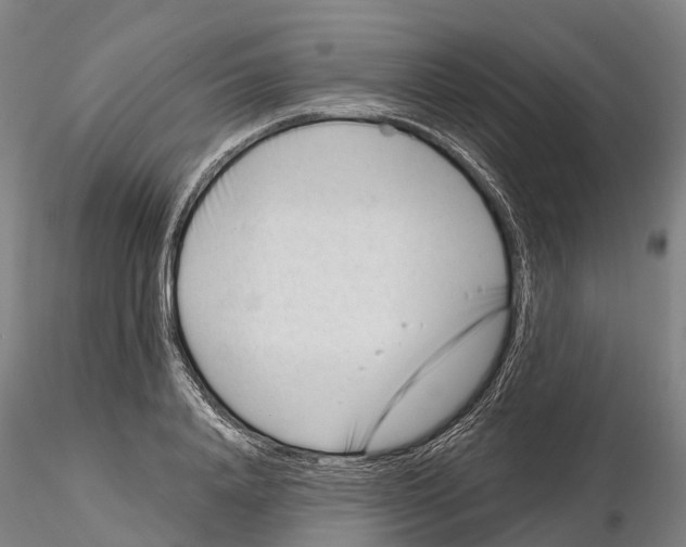 X0000115730840200912101450