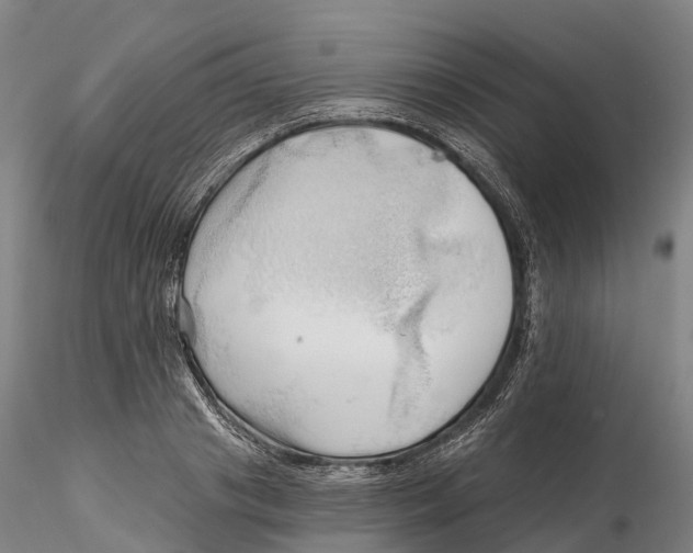 X0000115730841200912101450
