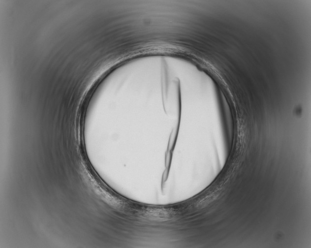 X0000115730843200912101450