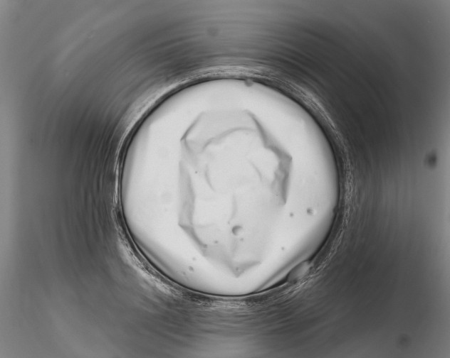X0000115730844200912101450