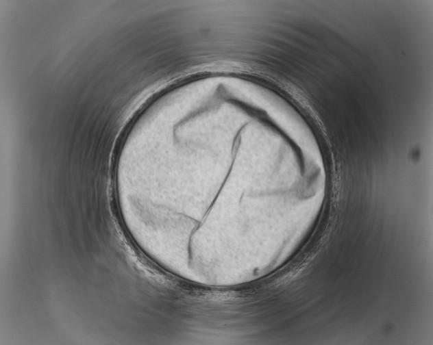 X0000115730845200912101450