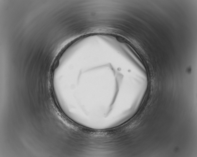 X0000115730846200912101450