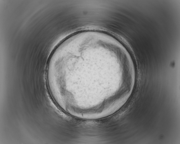 X0000115730847200912101450