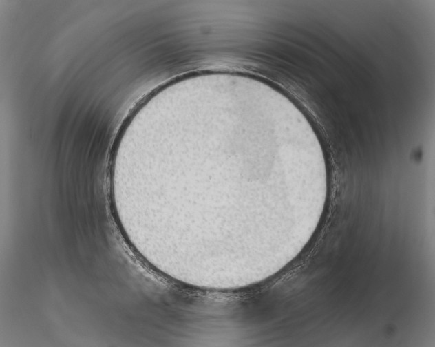 X0000115730848200912101450