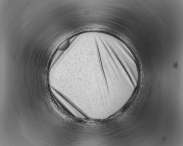 X0000115730850200912101450