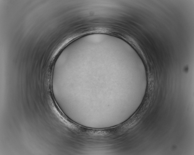 X0000115730851200912101450