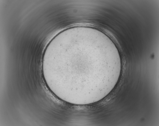 X0000115730852200912101450
