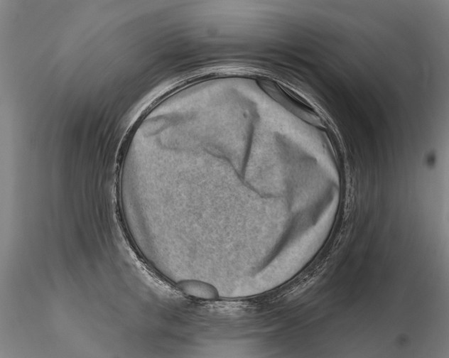 X0000115730853200912101450