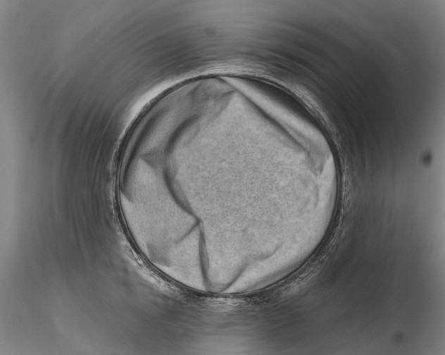 X0000115730854200912101450