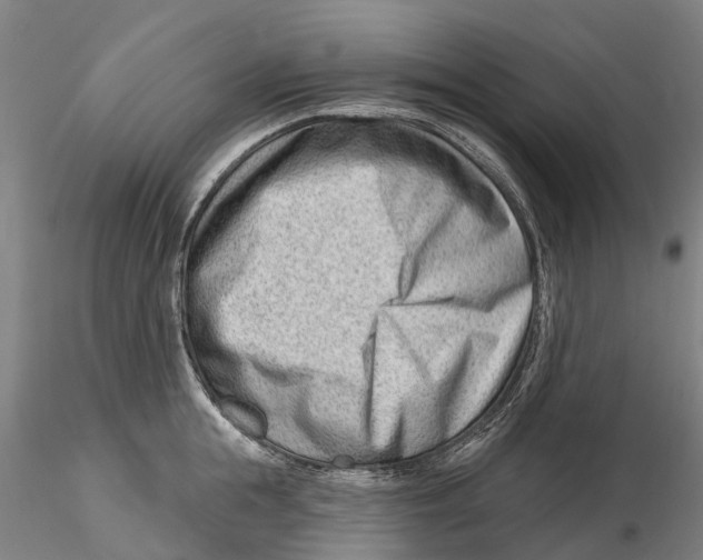 X0000115730855200912101450