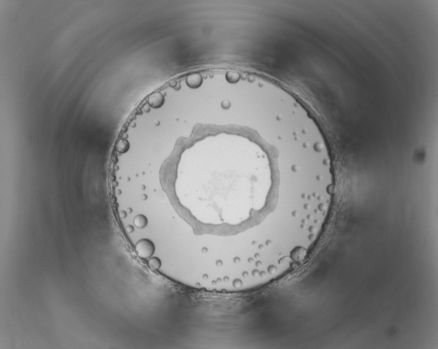X0000115730856200912101450