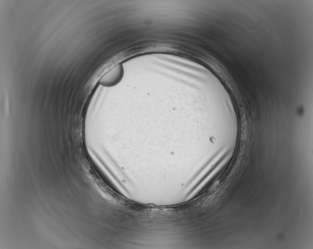 X0000115730858200912101450