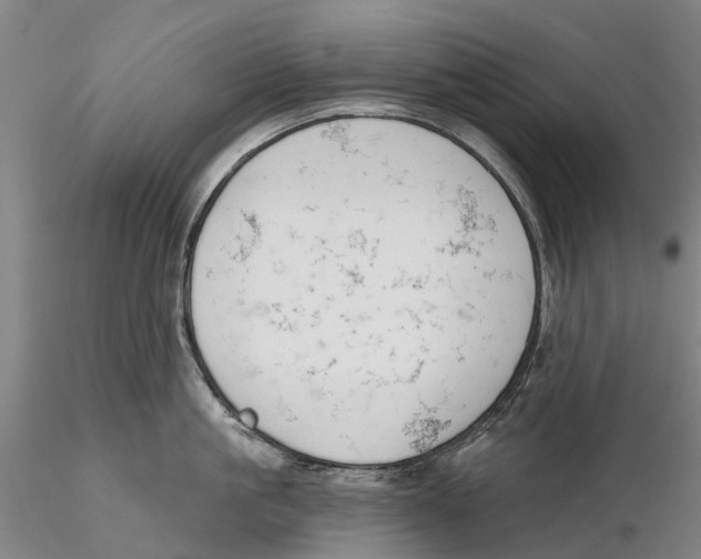 X0000115730861200912101450