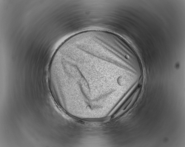 X0000115730862200912101450
