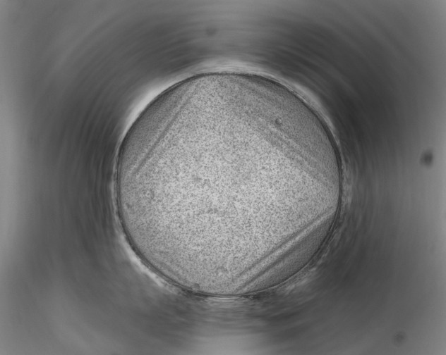 X0000115730863200912101450