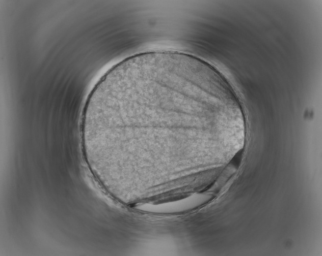 X0000115730864200912101450