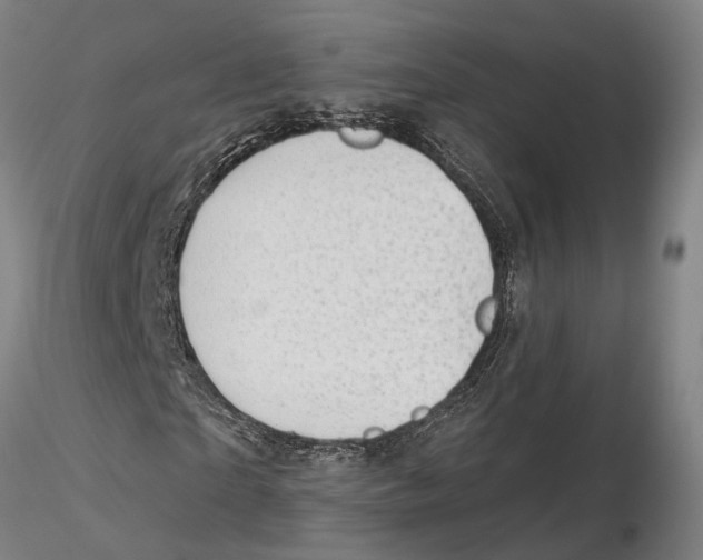 X0000115730865200912101450