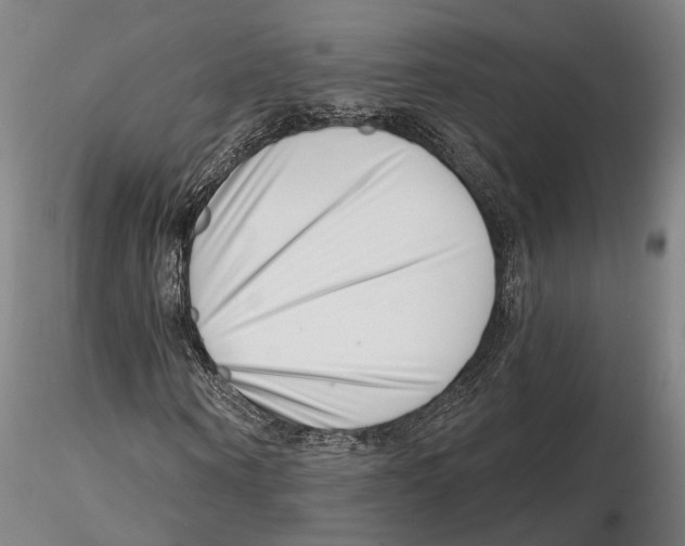 X0000115730866200912101450
