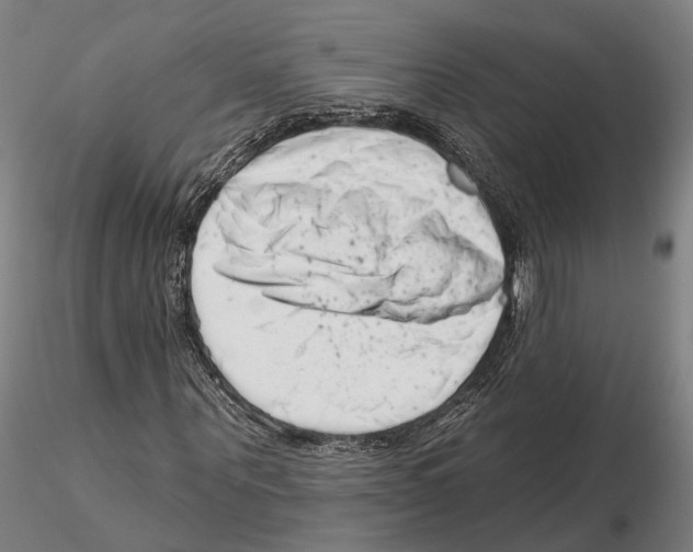 X0000115730867200912101450