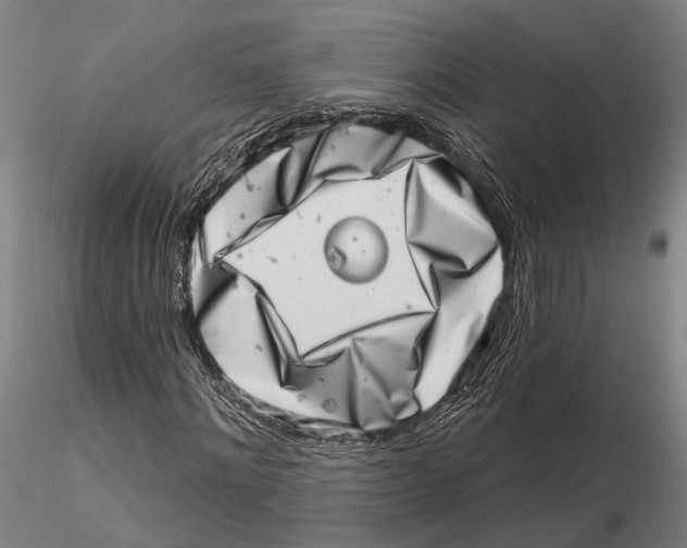 X0000115730868200912101450