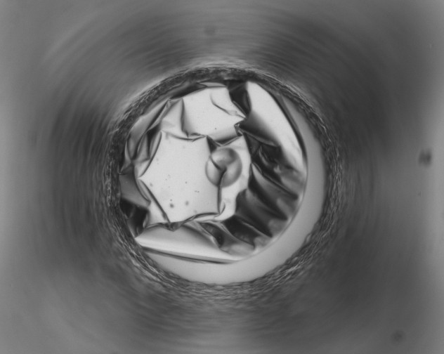 X0000115730872200912101450