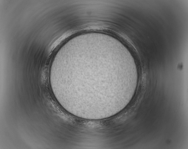 X0000115730874200912101450