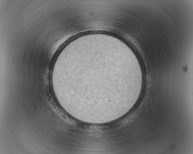 X0000115730875200912101449