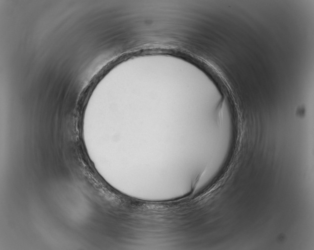 X0000115730878200912101449