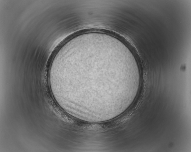X0000115730879200912101449