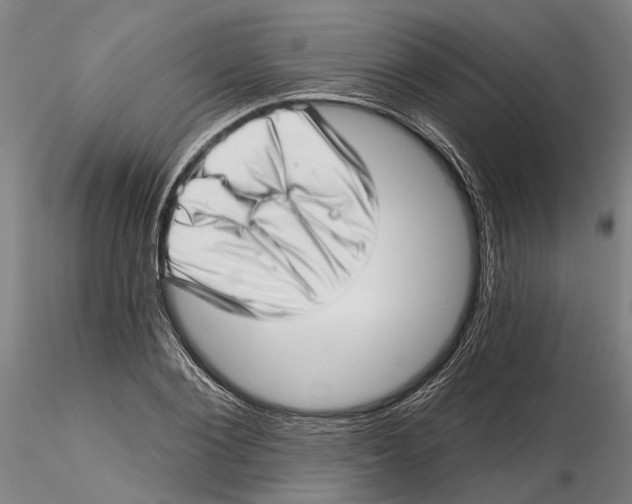 X0000115730884200912101449