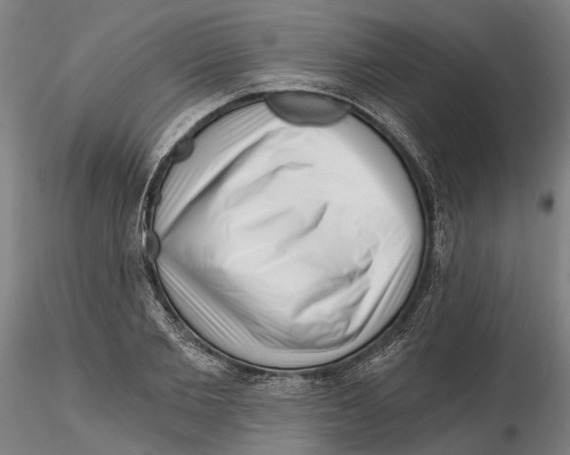 X0000115730885200912101449