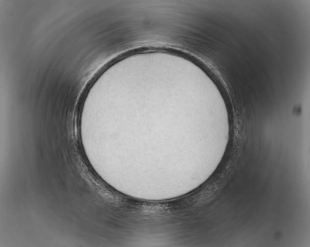 X0000115730887200912101449