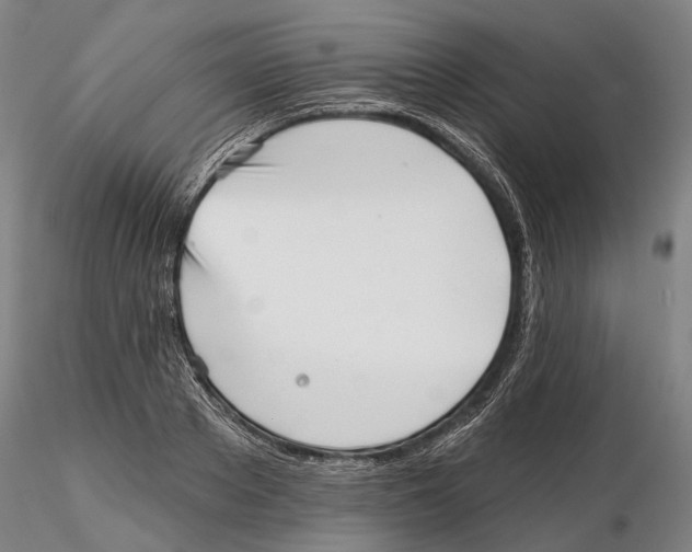 X0000115730889200912101449