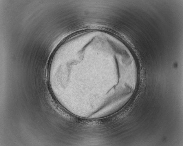 X0000115730891200912101449