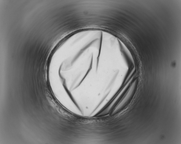 X0000115730892200912101449