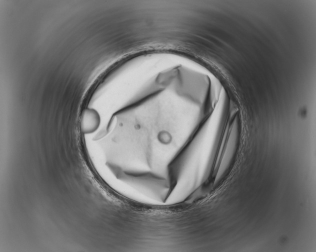 X0000115730894200912101449