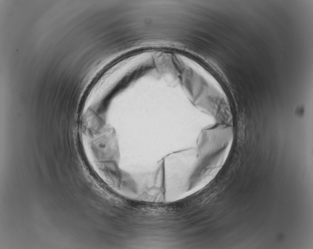 X0000115730895200912101449