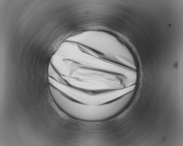 X0000115730897200912101449