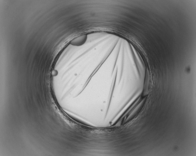 X0000115730898200912101449