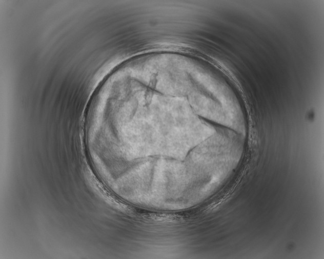 X0000115730899200912101449