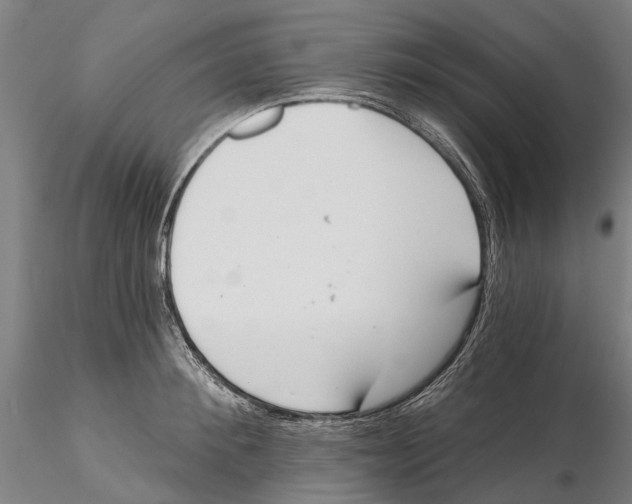 X0000115730900200912101449