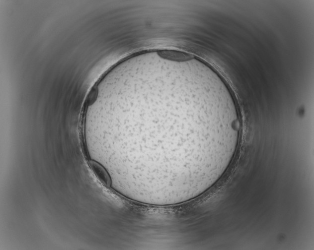 X0000115730901200912101449