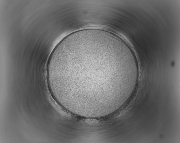 X0000115730907200912101449