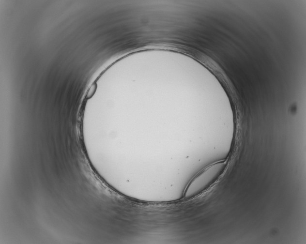 X0000115730908200912101449