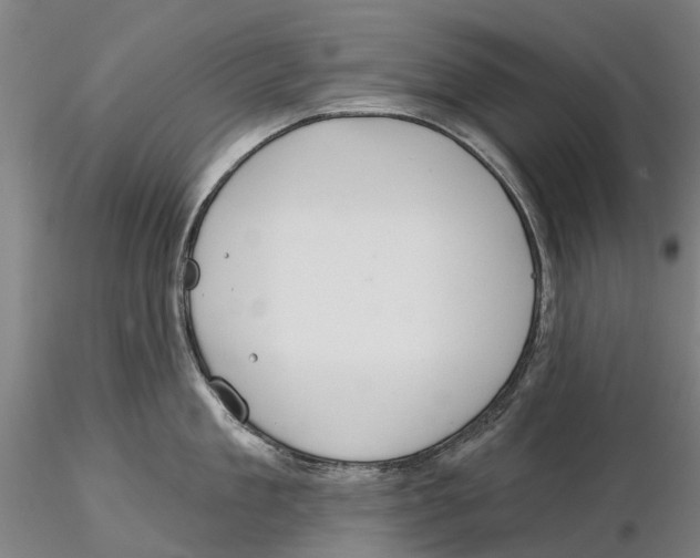 X0000115730909200912101449