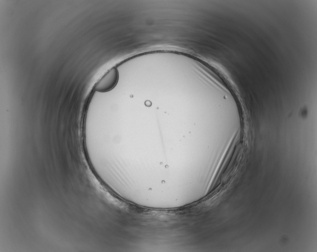 X0000115730910200912101449
