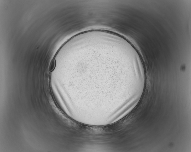 X0000115730911200912101449